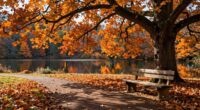proactive fall recovery strategies