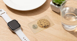 Scientists discover ancient brain cells that help block distractions