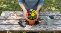 12 Best Hobbies for Seniors in 2026